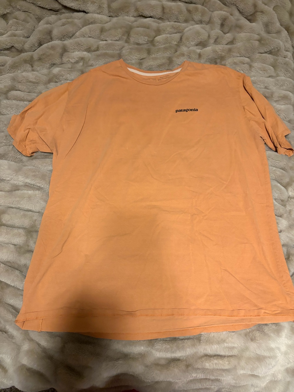 Patagonia T shirt